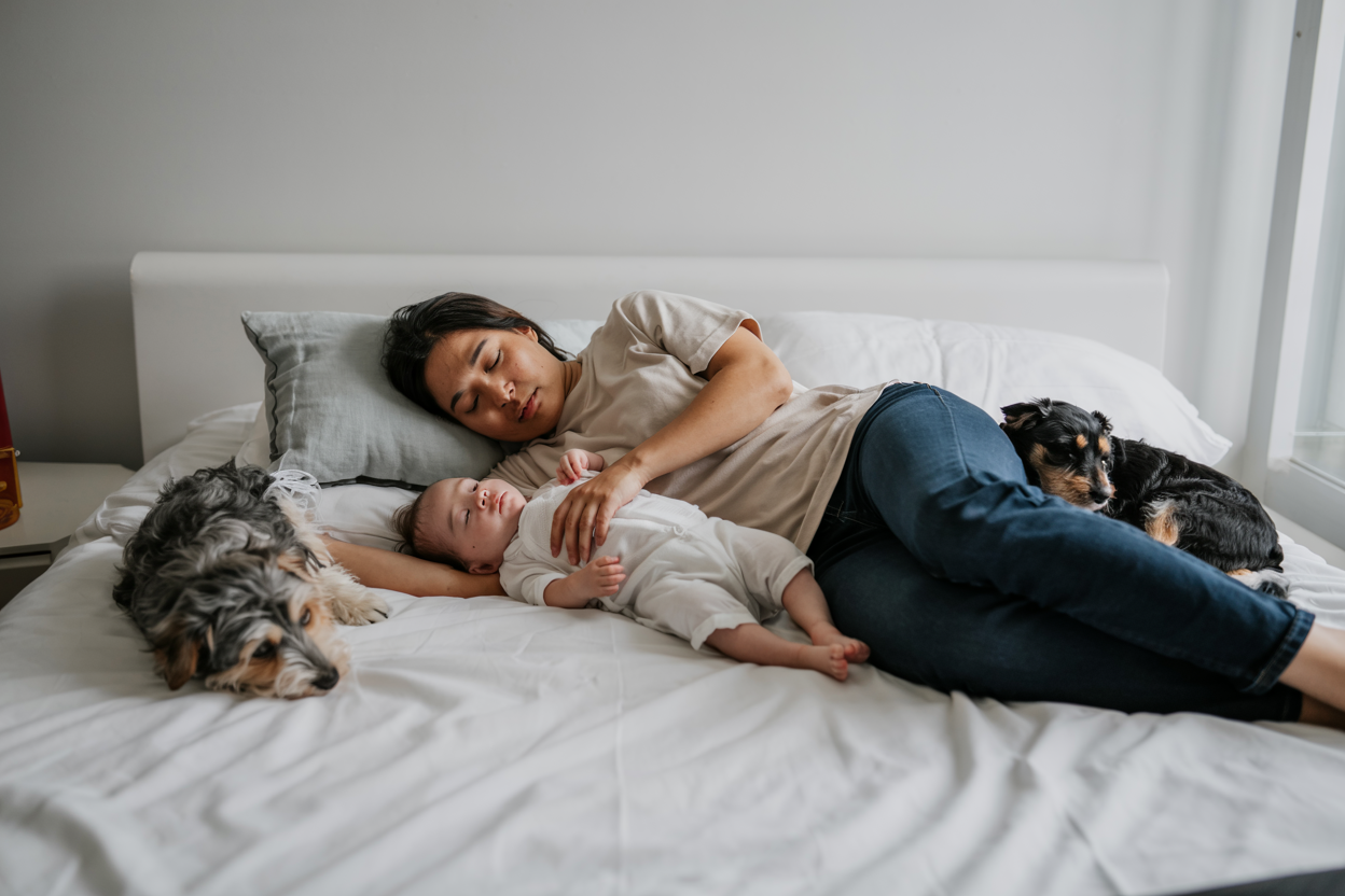 Dogs And Babies - Tips For How To Introduce Baby