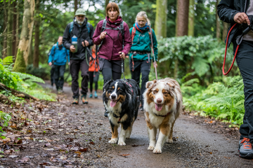 Why We Started PAWZI