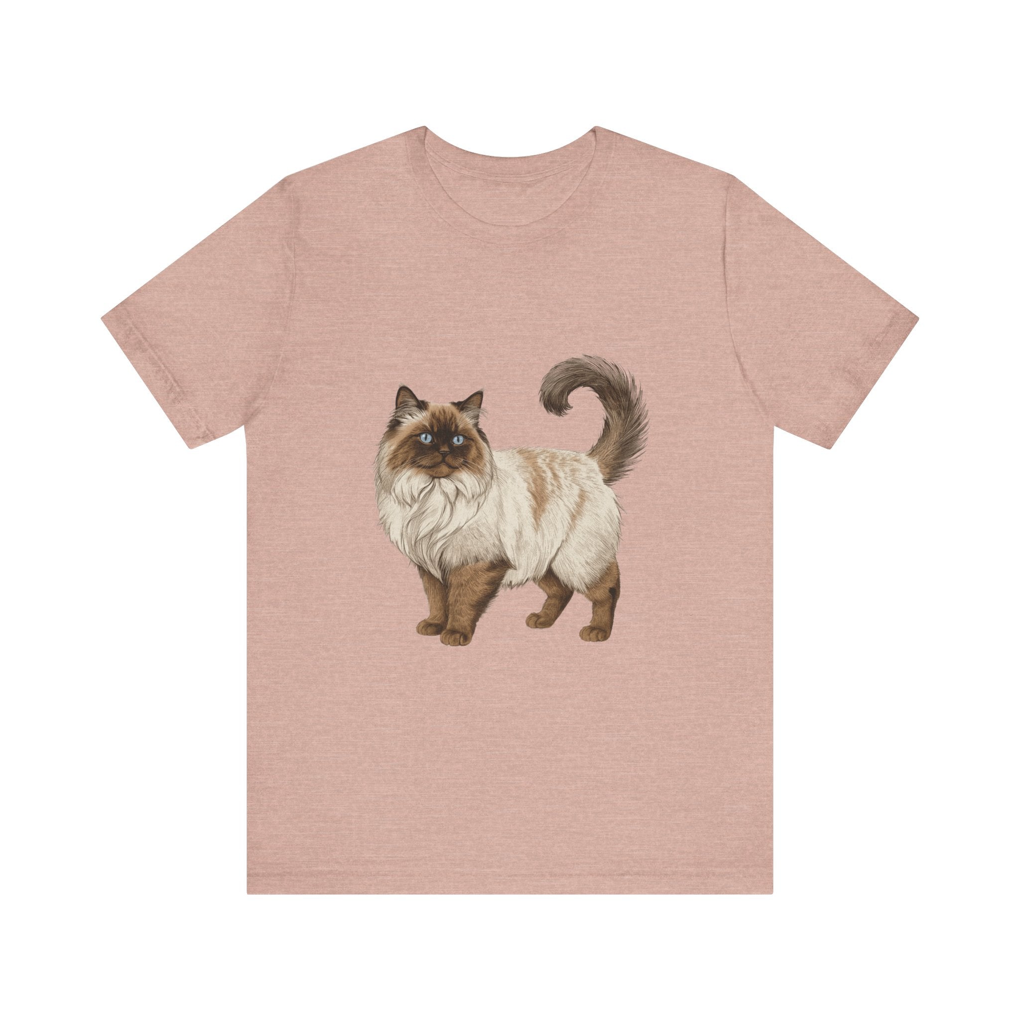 Ragdoll (Adult Short Sleeve T-Shirt)